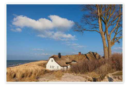 Poster Beach and Deichhaus in Ahrenshoop on the Baltic Sea