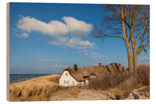 Cuadro de madera Beach and Deichhaus in Ahrenshoop on the Baltic Sea