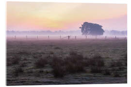 Cuadro de metacrilato Dusk in the Lüneburg Heath - Moqui, Daniela Beyer