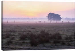 Canvas print Dusk in the Lüneburg Heath - Moqui, Daniela Beyer