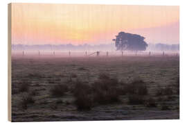 Holzbild Dämmerung in der Lüneburger Heide - Moqui, Daniela Beyer
