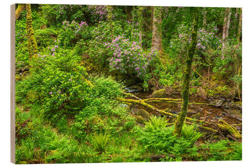 Wood print Stream in the enchanted spring forest