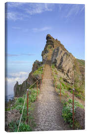 Lienzo Stairway to Heaven on Madeira - Michael Valjak