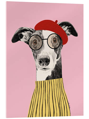 Akrylglastavla French style greyhound dog portrait