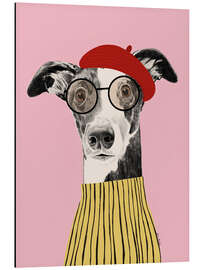 Aluminiumsbilde French style greyhound dog portrait