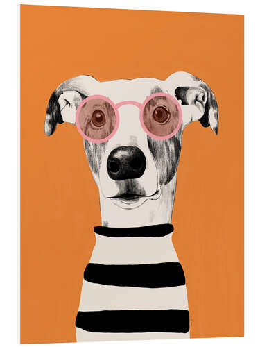 Tableau en PVC Portrait of a greyhound dog