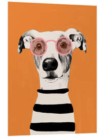 Tableau en PVC Portrait of a greyhound dog - EL BUEN LIMÒN