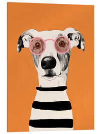 Gallery print Portrait of a greyhound dog