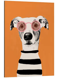 Magnettafel Porträt eines klugen Windhundes