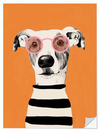 Wall sticker Portrait of a greyhound dog