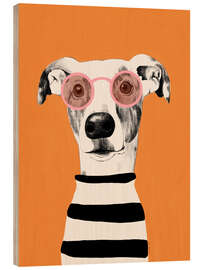 Trebilde Portrait of a greyhound dog - EL BUEN LIMÒN