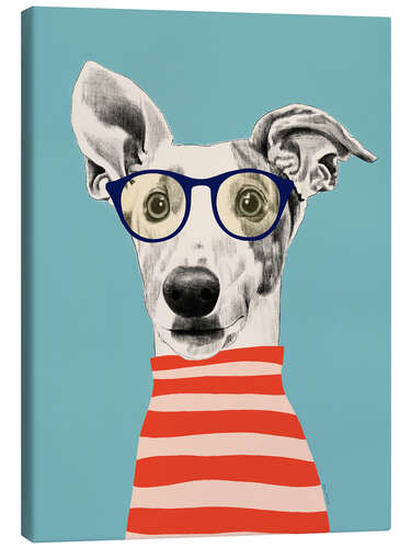 Lærredsbillede Portrait of greyhound dog with t-shirt