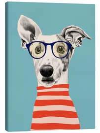 Lærredsbillede Portrait of greyhound dog with t-shirt