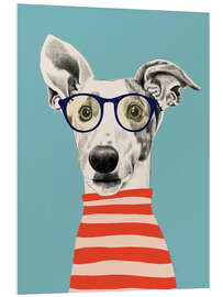 Tableau en PVC Portrait of greyhound dog with t-shirt