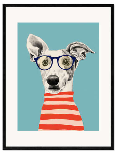 Framed art print Portrait of greyhound dog with t-shirt