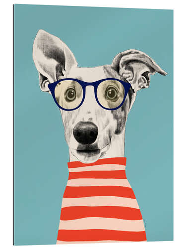 Gallery print Portrait of greyhound dog with t-shirt