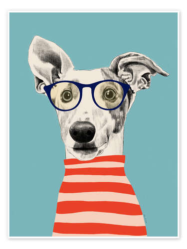 Póster Portrait of greyhound dog with t-shirt