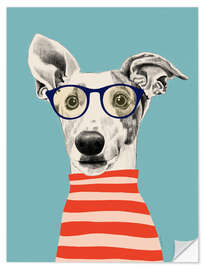 Wall sticker Portrait of greyhound dog with t-shirt