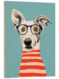 Puutaulu Portrait of greyhound dog with t-shirt - EL BUEN LIMÒN