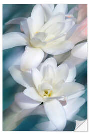 Wandsticker Weiße Magnolien