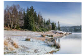 Obraz na szkle akrylowym Frosty morning at the Oderteich - Moqui, Daniela Beyer