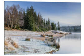 Aluminium print Frosty morning at the Oderteich - Moqui, Daniela Beyer