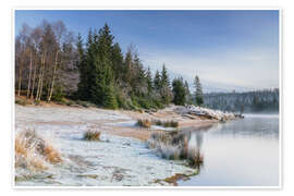 Wandbild Frostiger Morgen am Oderteich - Moqui, Daniela Beyer