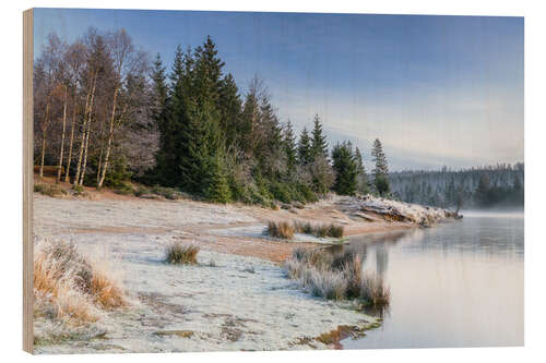 Obraz na drewnie Frosty morning at the Oderteich