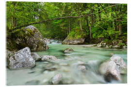 Quadro em acrílico Spring on the Ramsauer Ache - Moqui, Daniela Beyer