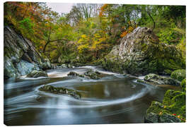 Canvastavla Fairytale gorge in Wales - Moqui, Daniela Beyer