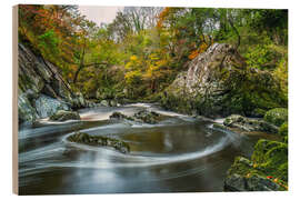 Wood print Fairytale gorge in Wales - Moqui, Daniela Beyer