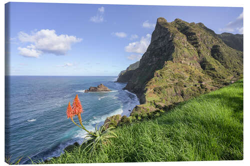 Tableau sur toile Viewpoint of St. Christopher, Madeira