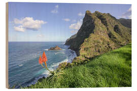 Obraz na drewnie Viewpoint of St. Christopher, Madeira - Michael Valjak