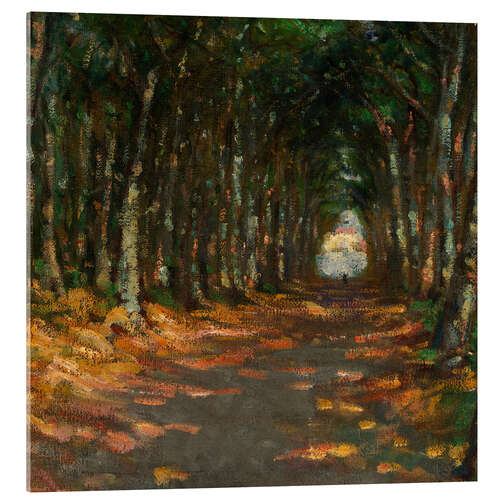 Obraz na szkle akrylowym Allee in the Park, 1906