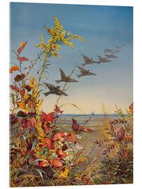 Acrylglas print October