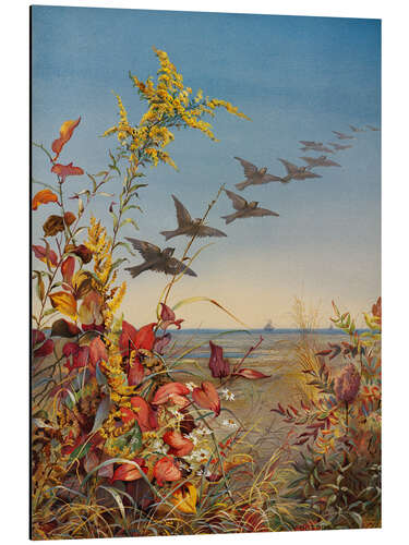 Aluminium print October