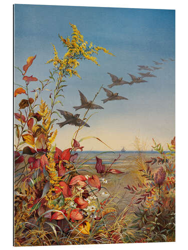 Gallery print October