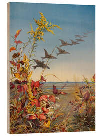 Trebilde October