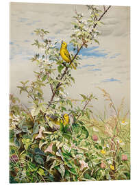 Quadro em acrílico June - June Fidelia Bridges