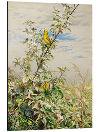 Tableau en aluminium June - June Fidelia Bridges