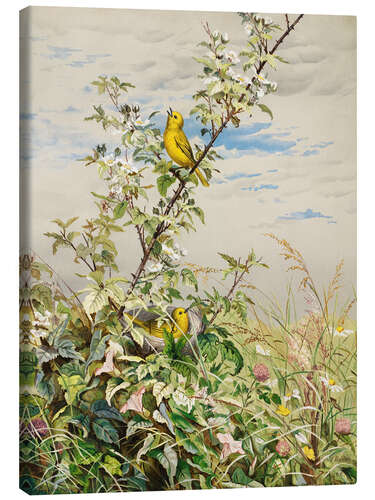 Canvas print June