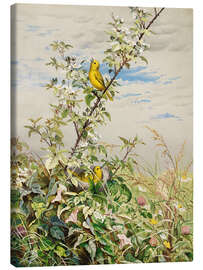 Canvas print June - June Fidelia Bridges