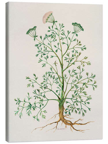 Canvastavla Rosemary