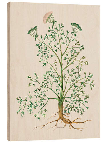 Wood print Rosemary