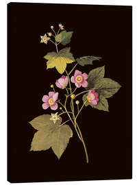 Lærredsbillede Rubus odoratus - Mary Delany