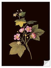 Wandsticker Rubus odoratus
