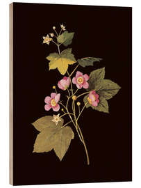 Cuadro de madera Rubus odoratus - Mary Delany