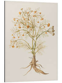 Tableau en aluminium Piante Varie 29
