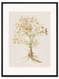 Gerahmter Kunstdruck Piante Varie 29