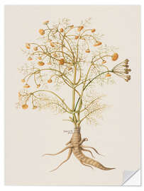 Sticker mural Piante Varie 29